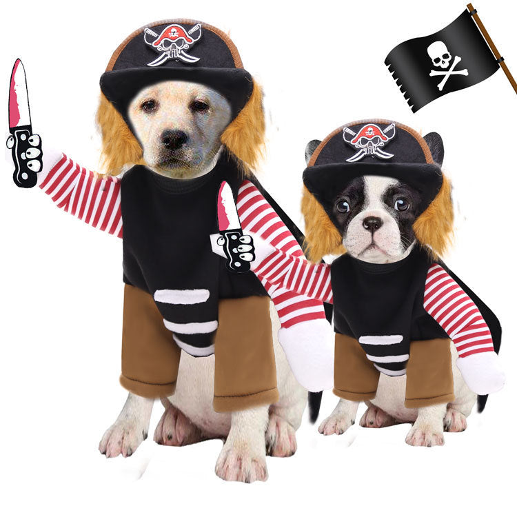 Pirates Turned Into Weird Pet Dogs Cats Halloween Day Costumes