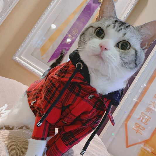 Parent-child Pet Spring And Autumn Shirt Two-legged Clothes