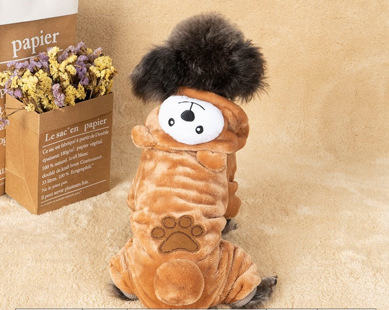 Autumn And Winter Transformed Into Dog Pet Costumes